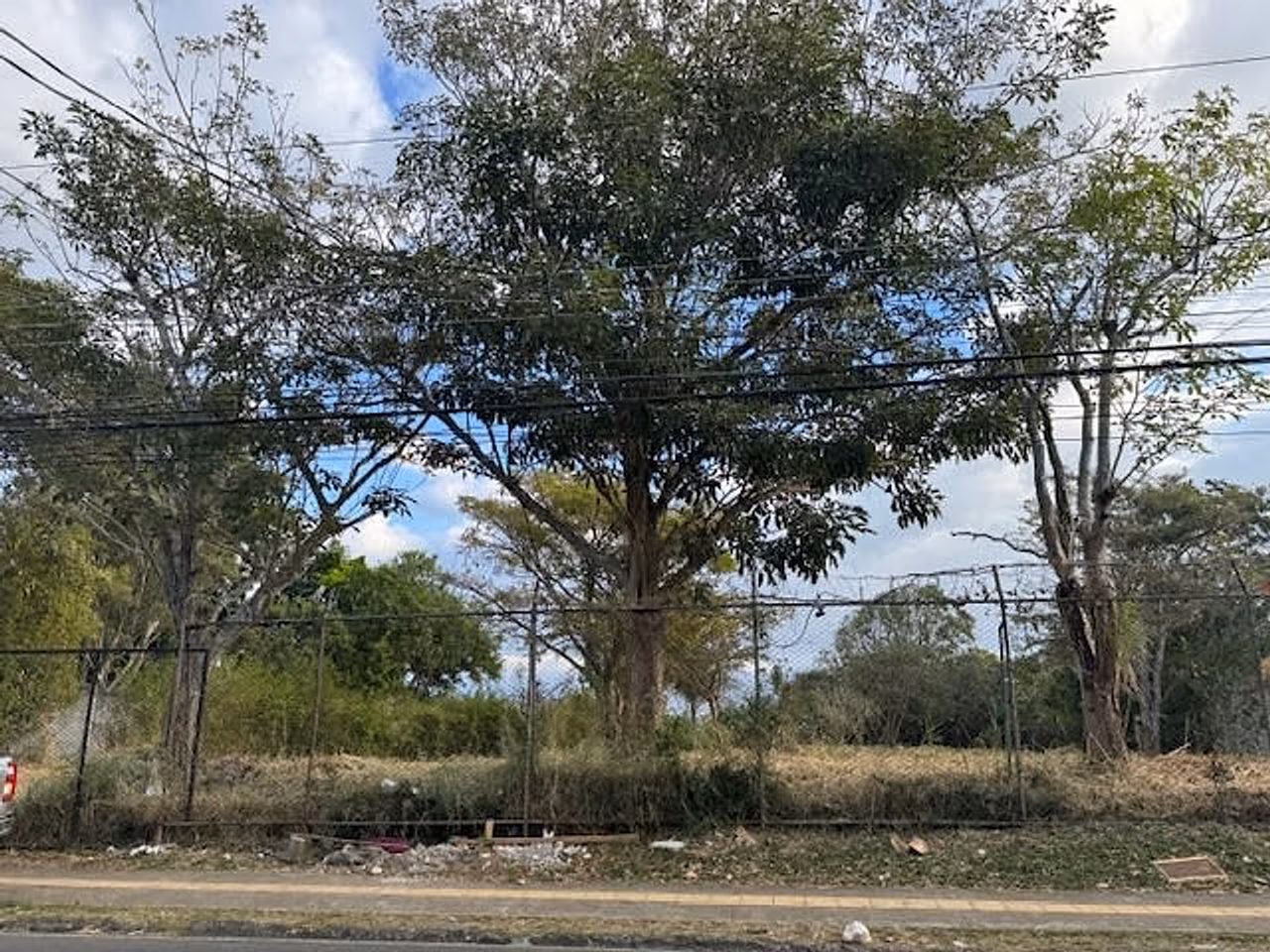 Lote uso de suelo Mixto, 29m de Frente Topografia Plana — foto 3 de 9