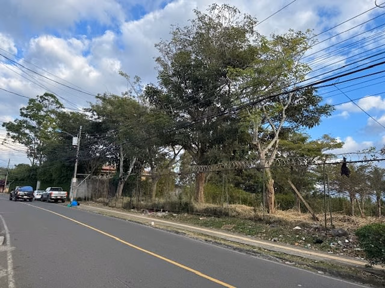 Lote uso de suelo Mixto, 29m de Frente Topografia Plana — foto 5 de 9