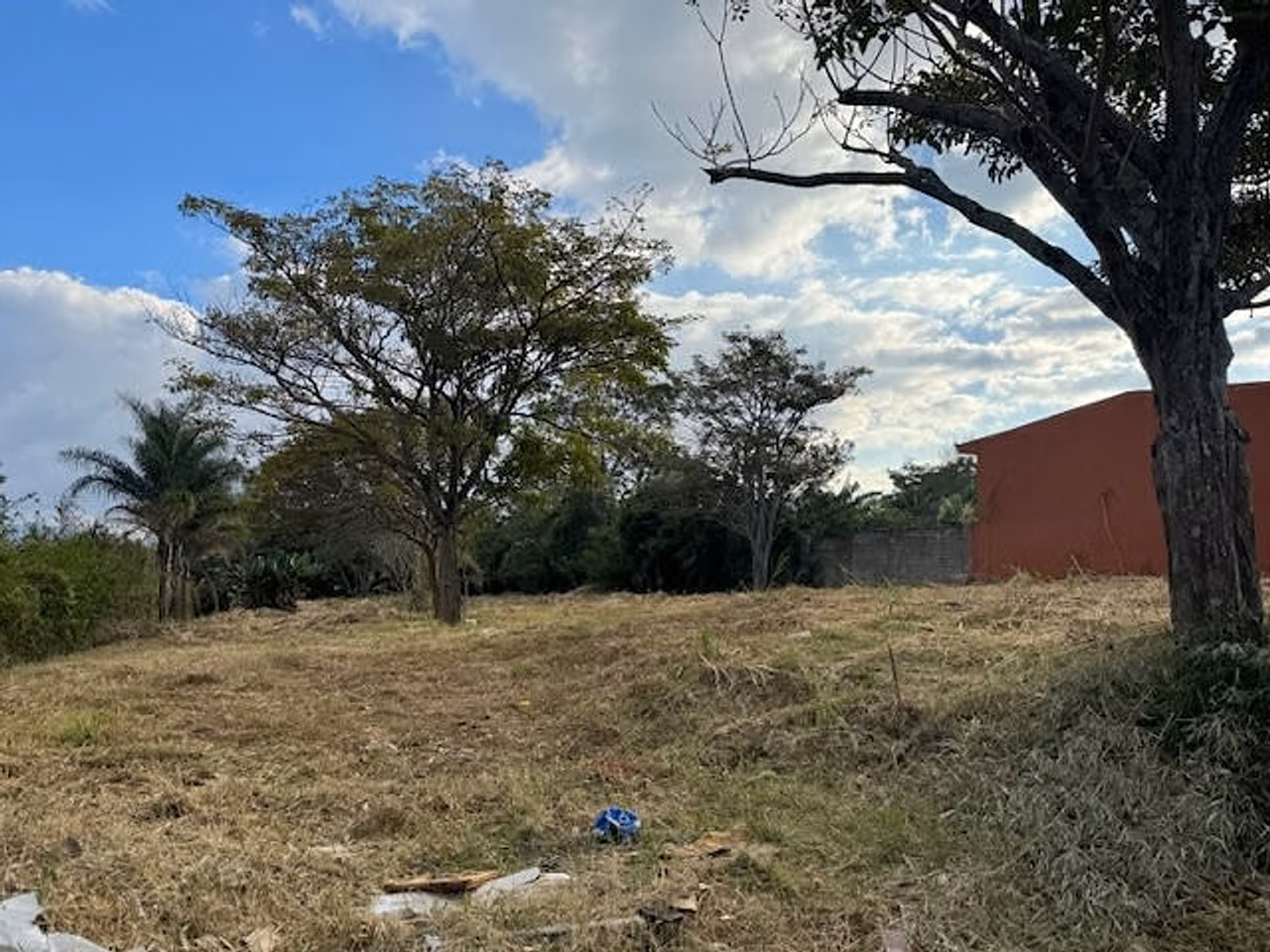 Lote uso de suelo Mixto, 29m de Frente Topografia Plana — foto 8 de 9