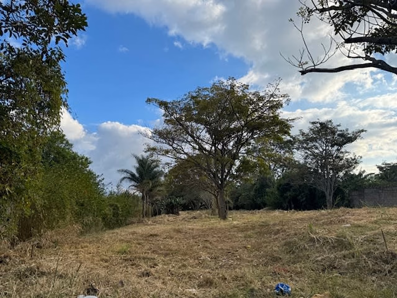 Lote uso de suelo Mixto, 29m de Frente Topografia Plana — foto 9 de 9