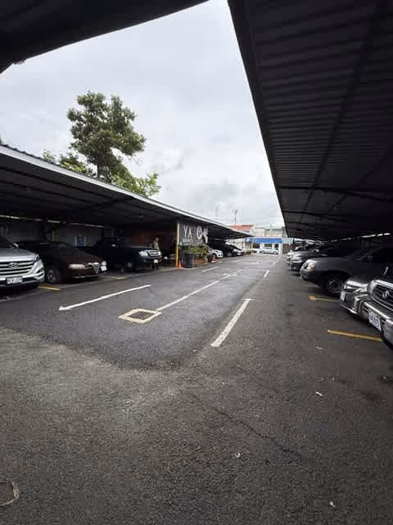 Parqueo Consolidado en el Centro de Alajuela – 20 Años de Rentabilidad y Ubicación Estratégica — foto 15 de 18