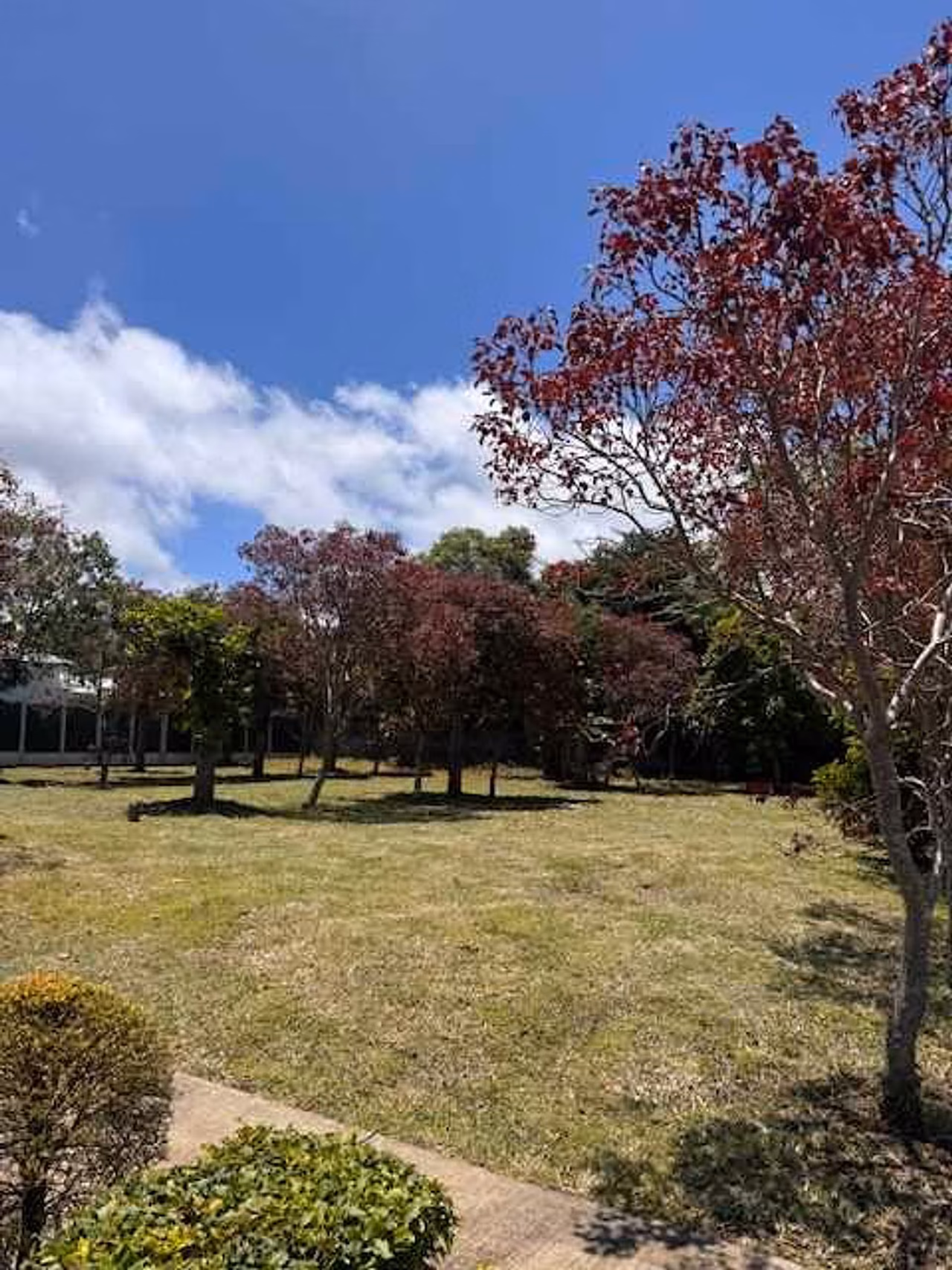 Su Casa pre Venta en San Isidro de Heredia, Oportunidad — foto 9 de 16