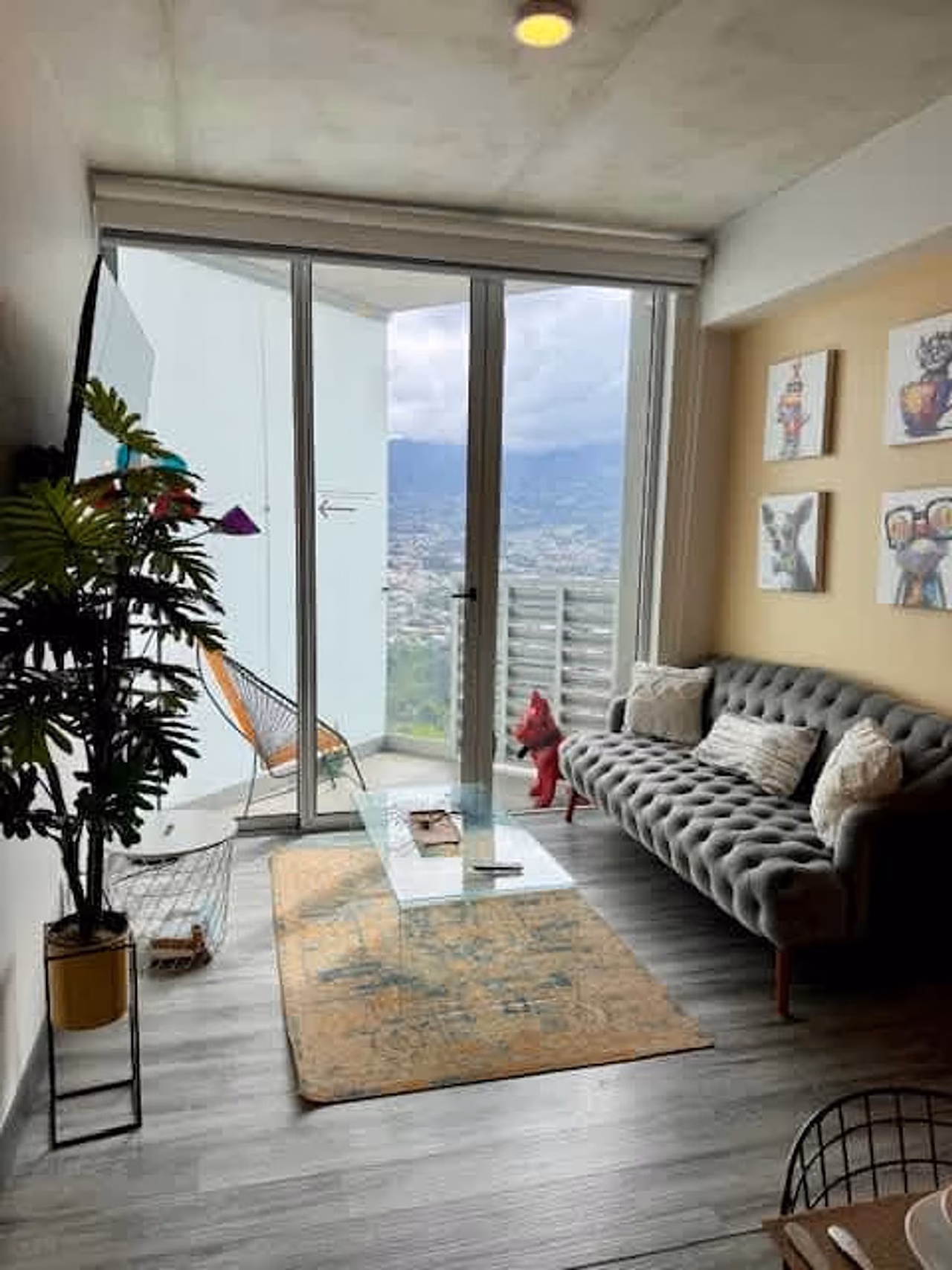 Apartamento amueblado con buen gusto, moderno y cerca de todo — foto 1 de 20
