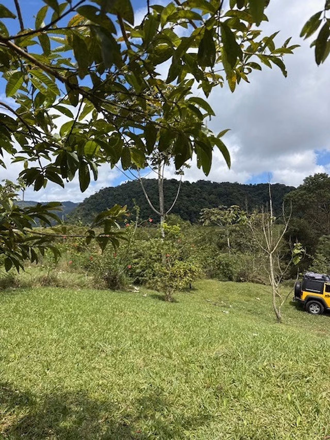 Vendo 4 lotes bajos del Toro, rodeado de cataratas, parques nacionales — foto 4 de 19