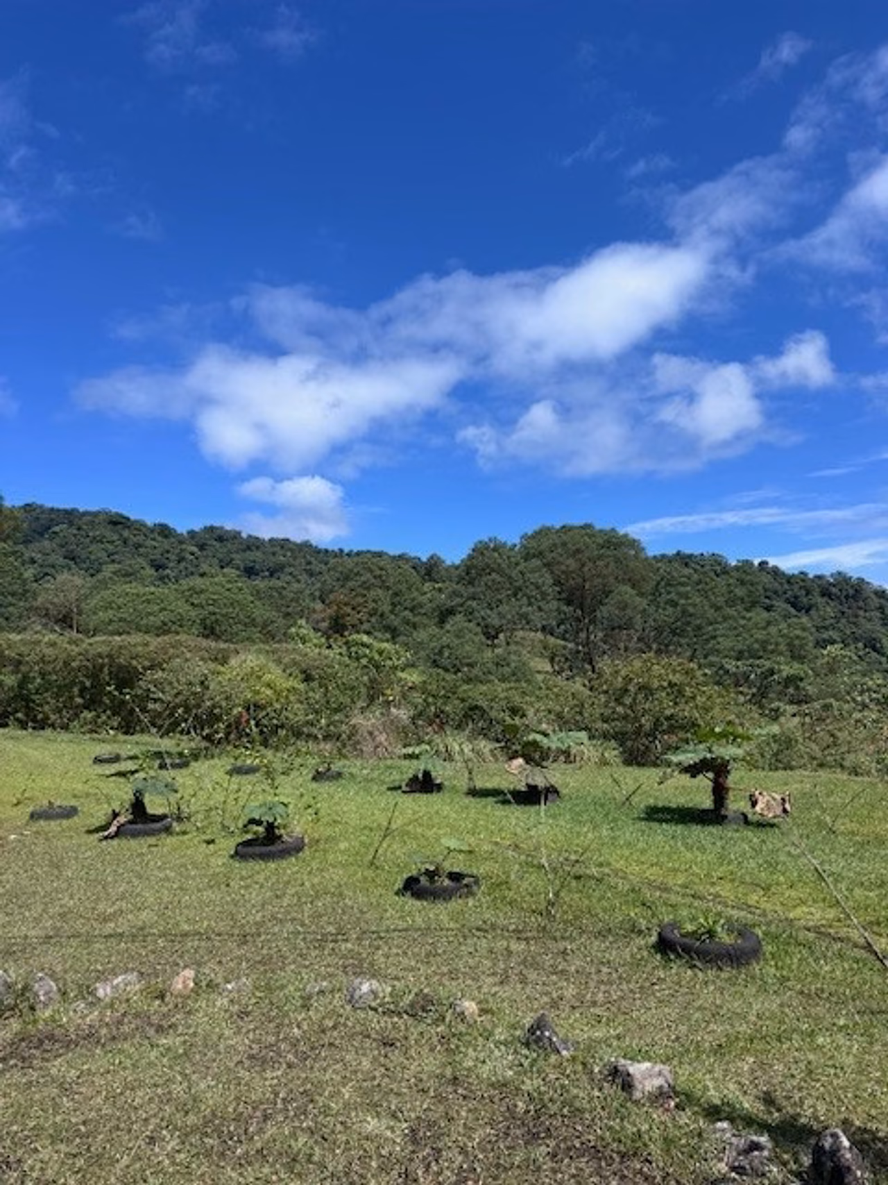 Vendo 4 lotes bajos del Toro, rodeado de cataratas, parques nacionales — foto 7 de 19