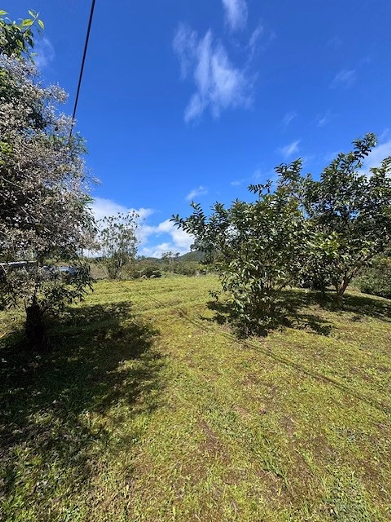 Vendo 4 lotes bajos del Toro, rodeado de cataratas, parques nacionales — foto 9 de 19