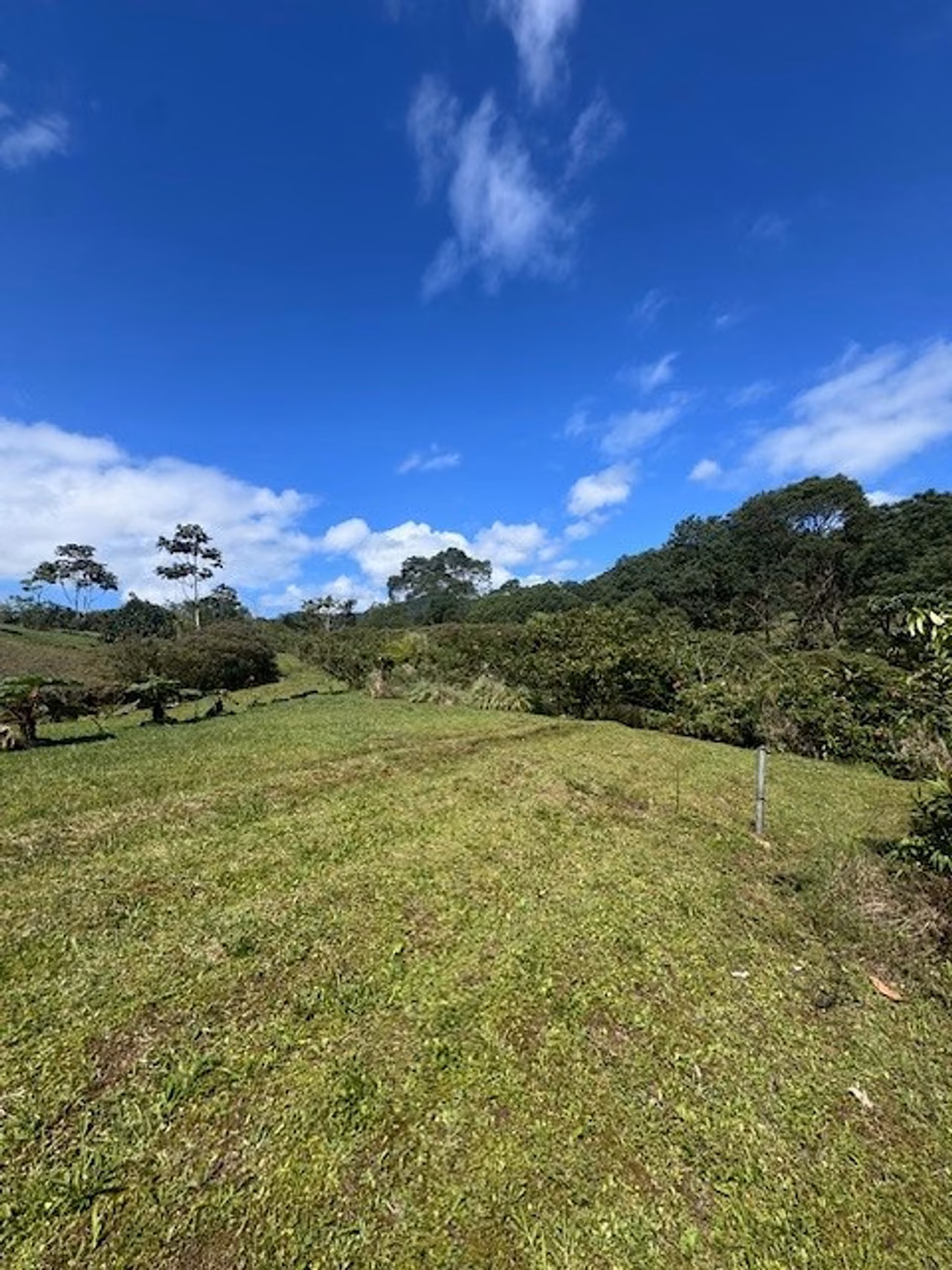 Vendo 4 lotes bajos del Toro, rodeado de cataratas, parques nacionales — foto 10 de 19
