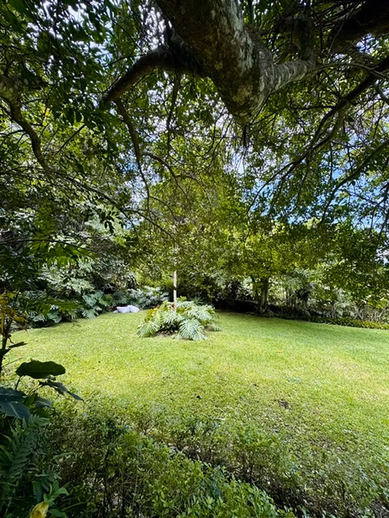 Casa de lujo en Los Ángeles de San Rafael · 3.457 m² de naturaleza — foto 7 de 19