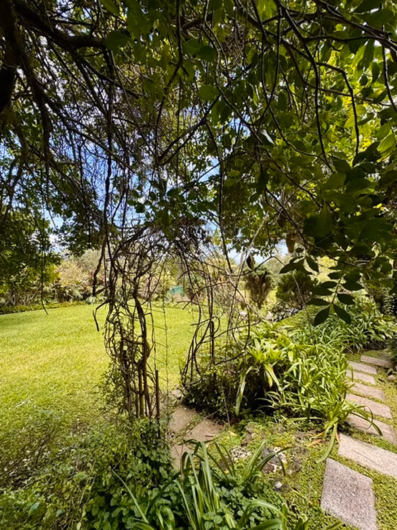 Casa de lujo en Los Ángeles de San Rafael · 3.457 m² de naturaleza — foto 8 de 19