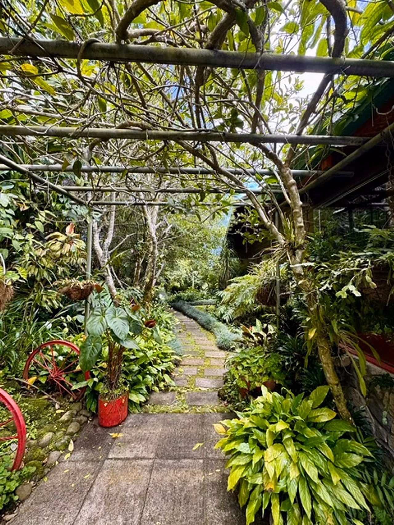 Casa de lujo en Los Ángeles de San Rafael · 3.457 m² de naturaleza — foto 10 de 19